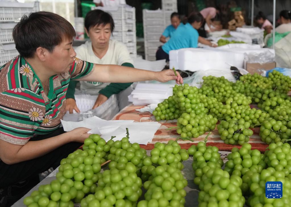 金沙官网金饰之家